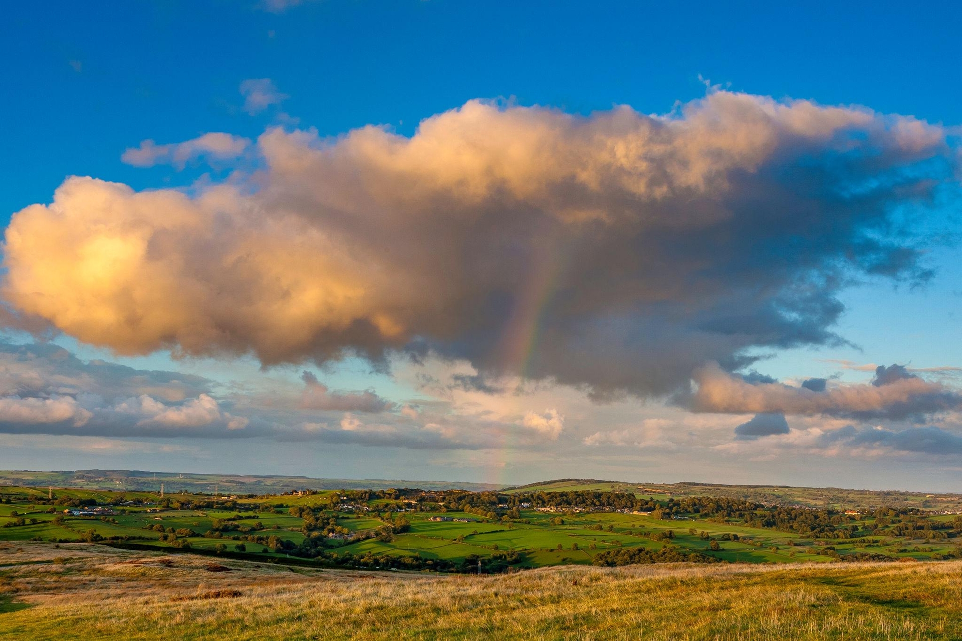 Baildon Moor
